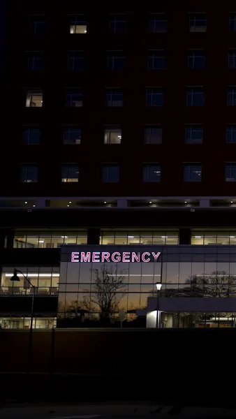 เจ้าสาวต้องห้ามของมันชินี