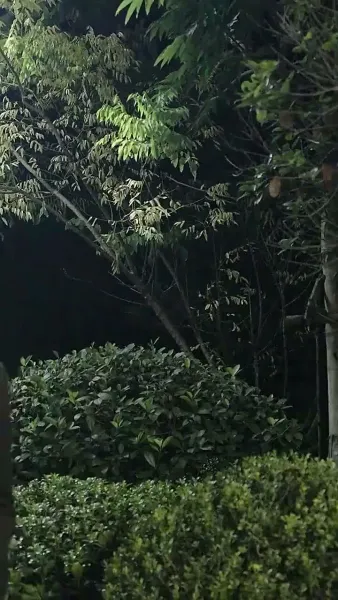 แผนรักมัดใจเธอ