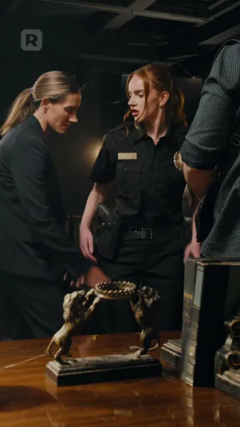 คุณนักสืบหญิง และ คุณชายหัวขโมย