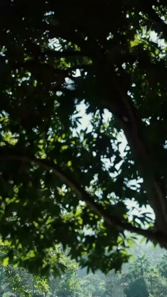 ศึกหัวใจนักสู้หมัดเหล็ก