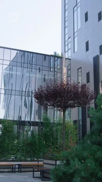 ตกหลุมรัก กนายความ หย่าร้องของฉัน