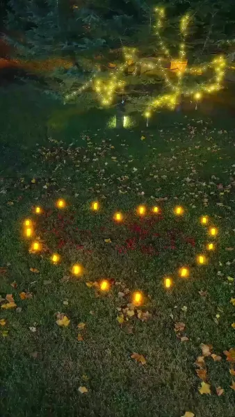 จากลาปลดพันธะ