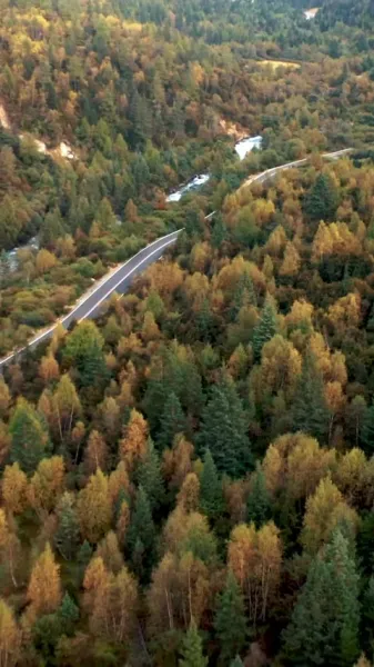 เมฆหมอกและความรักที่ซ่อนเร้น