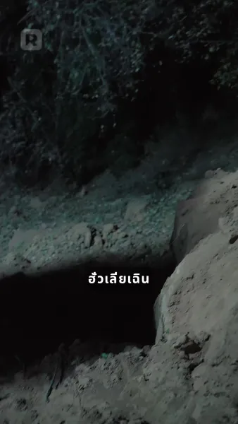 คืนเดียวกับมหาเศรษฐี