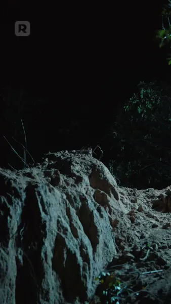 คืนเดียวกับมหาเศรษฐี