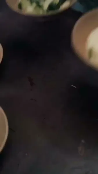 รักแรกผลิบาน