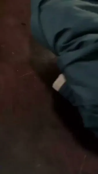 รักแรกผลิบาน