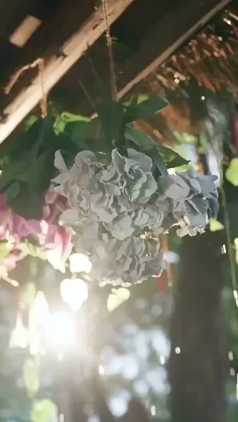 รักแรกผลิบาน