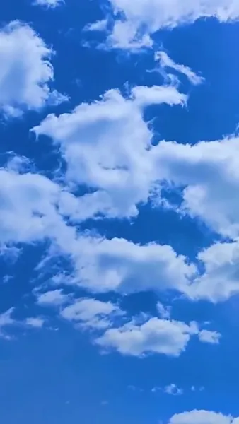 กับดักลับ สลับหัวใจ