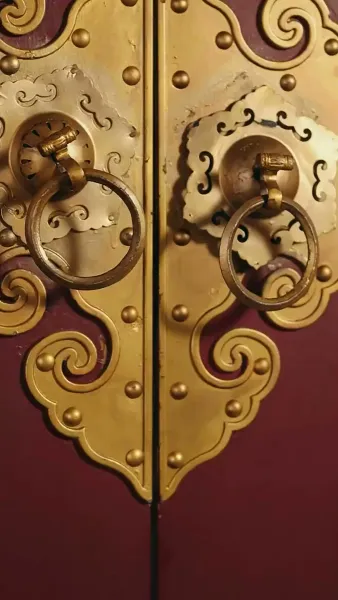 ชายานิติเวช