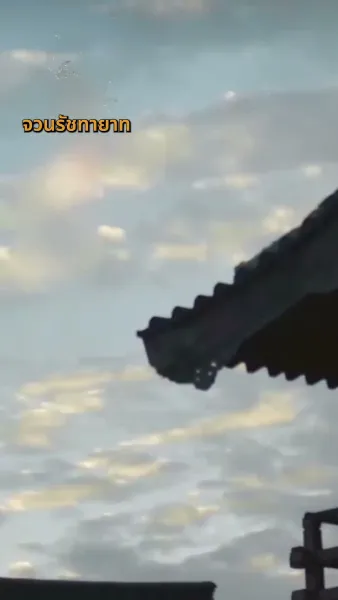 ชายานิติเวช