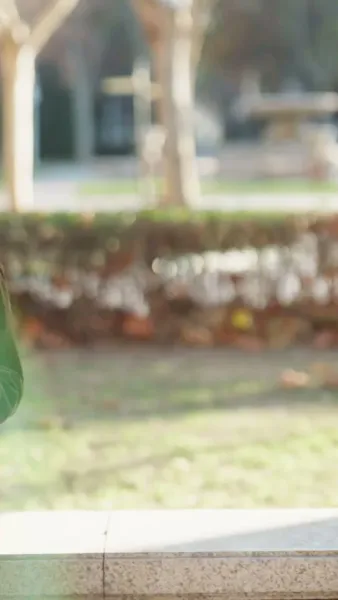 ดั่งพระอาทิตย์ของฉัน