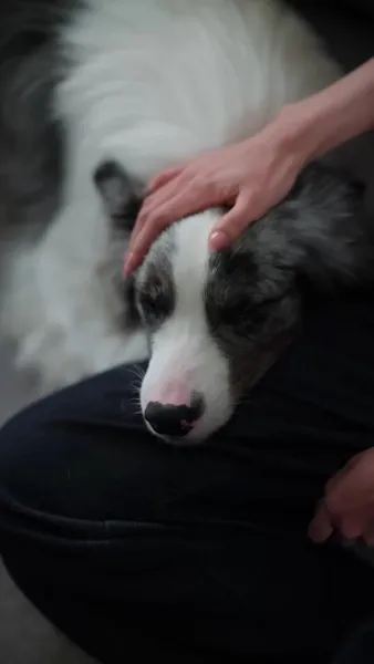 ดั่งพระอาทิตย์ของฉัน