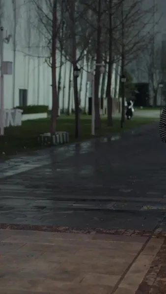 ดั่งพระอาทิตย์ของฉัน