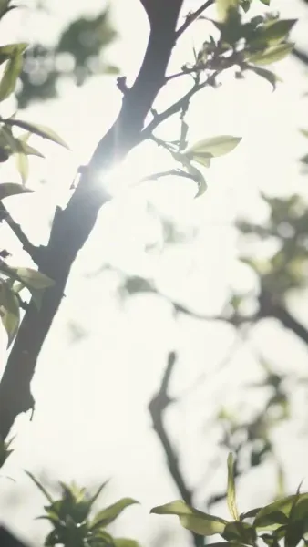 รักในวันที่สาย