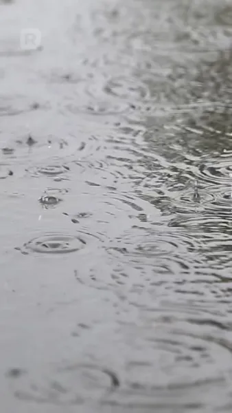 รักในวันที่สาย