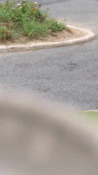 เมียที่ถูกสลับ