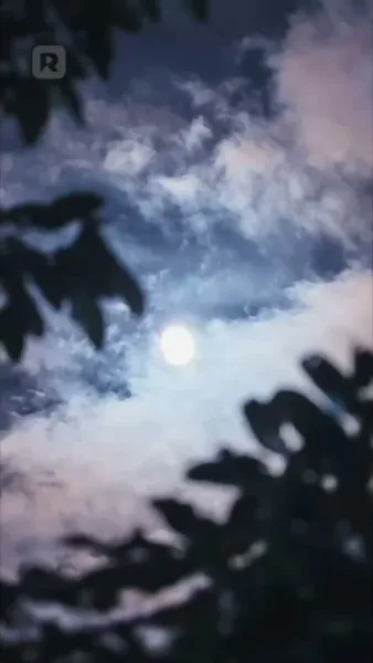 จมดิ่งในราตรีขาว