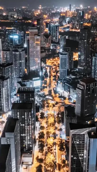 จมดิ่งในราตรีขาว