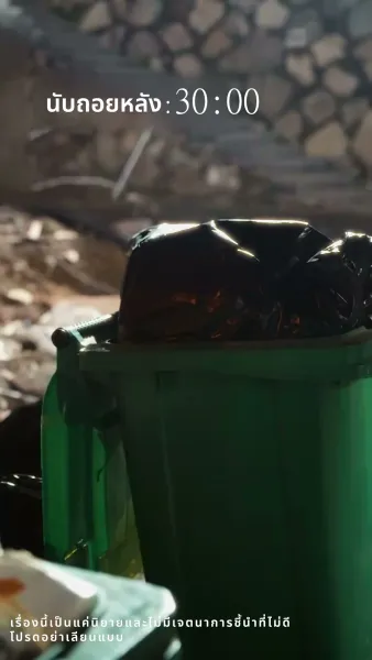 ดอกไม้บานในยามใบไม้ผลิ