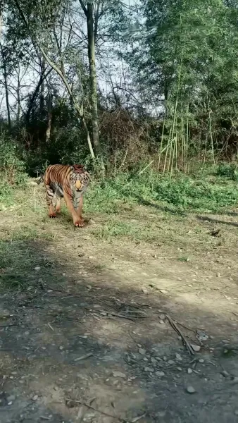 สุดยอดบุรุษผู้กล้า