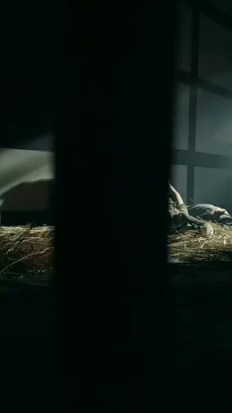 สุดยอดบุรุษผู้กล้า