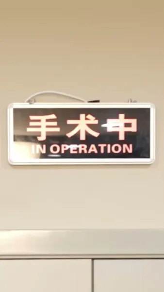 พิชิตใจเจ้าพ่อเมืองหลวง