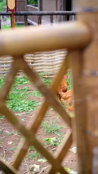 ข้าเกิดมาสื่อสารกับสัตว์ได้