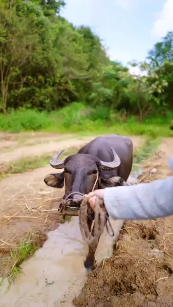 ข้าเกิดมาสื่อสารกับสัตว์ได้