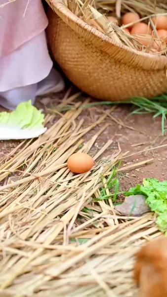 ข้าเกิดมาสื่อสารกับสัตว์ได้