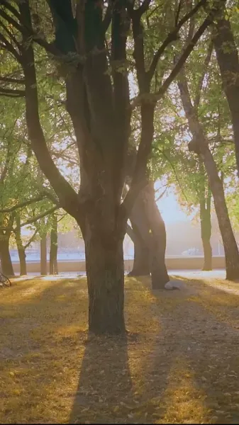  การกลับมาของคุณหนูตกอับ