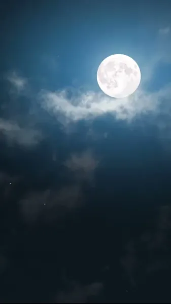  การกลับมาของคุณหนูตกอับ