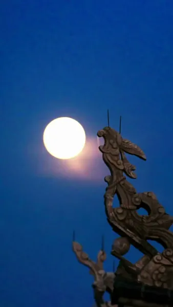 กลยุทธ์ลูกสาวอนุ