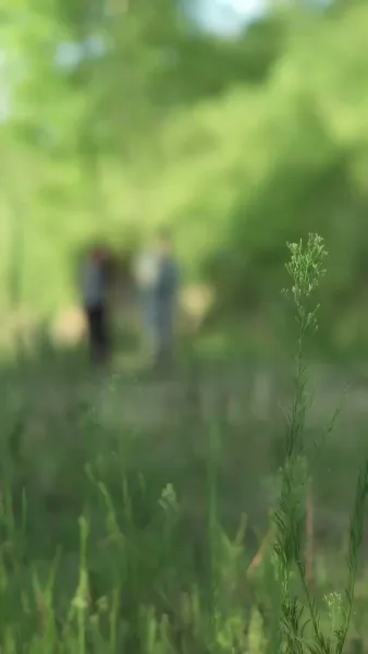 รัก ลิขิตชีวิตใหม่