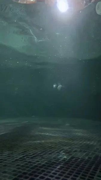 รัก ลิขิตชีวิตใหม่