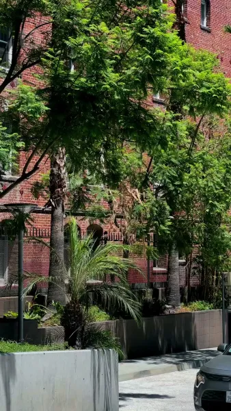 การเผชิญหน้าแห่งโชคชะตา