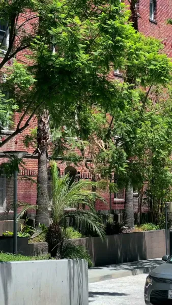 การเผชิญหน้าแห่งโชคชะตา