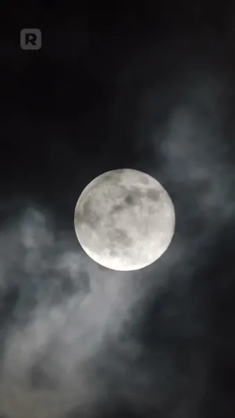 กลับมารัก ทายาทปกป้อง