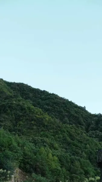 พลิกชะตาหญิงอ้วนผู้กู้แผ่นดิน