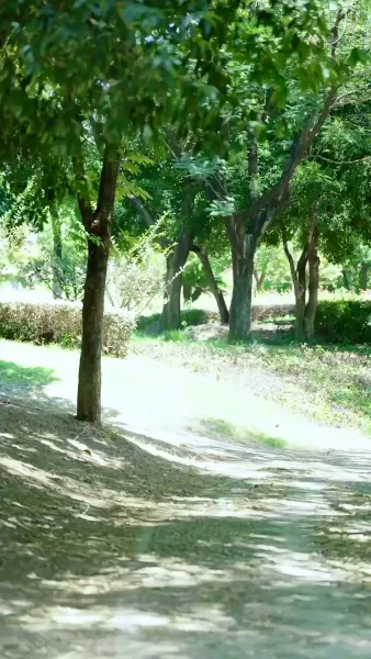 พลิกชะตาหญิงอ้วนผู้กู้แผ่นดิน