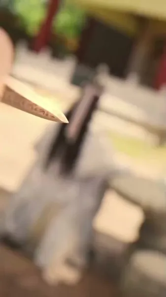 เจ้าหญิงสองใบหน้า