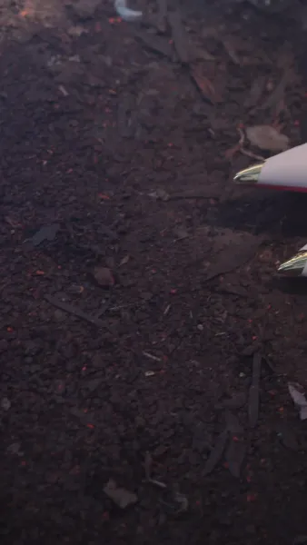 ชีวิตที่เหลือกับความผิดพลาด 