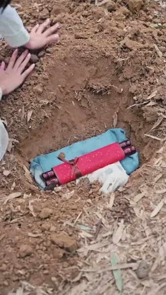 ลูกสาวที่ถูกทิ้งกับมหาเสนาบดีผู้ชั่วร้าย