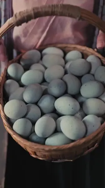 ลูกสาวที่ถูกทิ้งกับมหาเสนาบดีผู้ชั่วร้าย