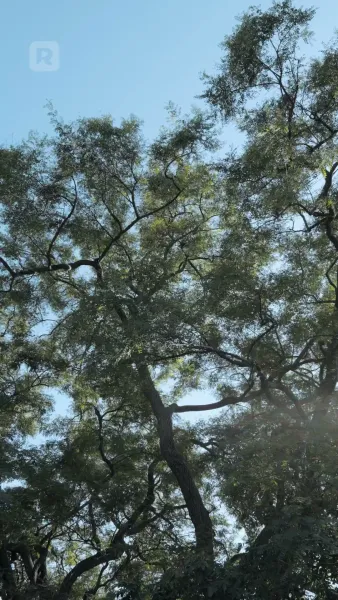 ถูกมัดมาด้วยความแค้น: นอนกับศัตรู