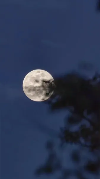 ชะตาขังใจ