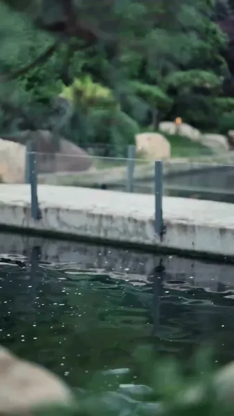 ตกหลุมคุณชายคลั่งรัก