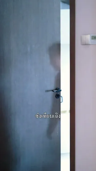 เกมรักประธานลวง