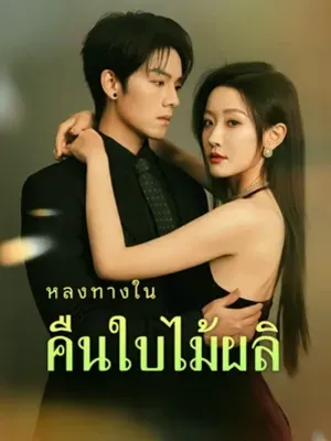 หลงทางในคืนใบไม้ผลิ