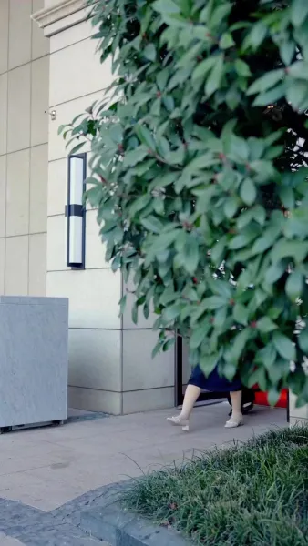 เชฟผมสีเงิน